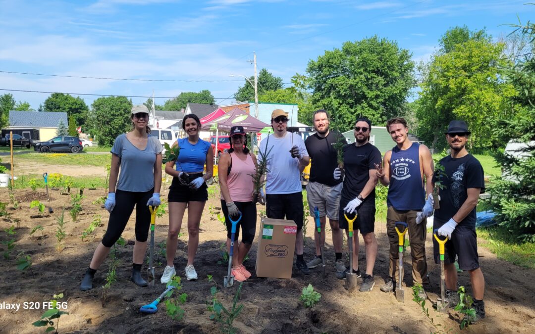 Shockform Plants Trees to Offset Carbon Footprint